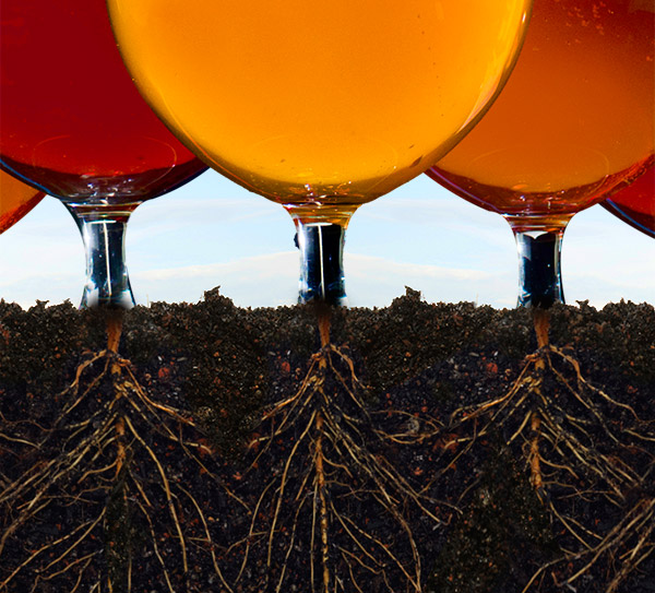 Roots of American Craft Brewing