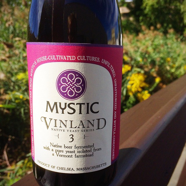 Mystic Brewery Vinland