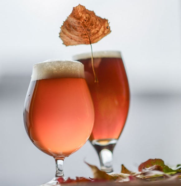 2015 Craft Beer Fall Seasonals