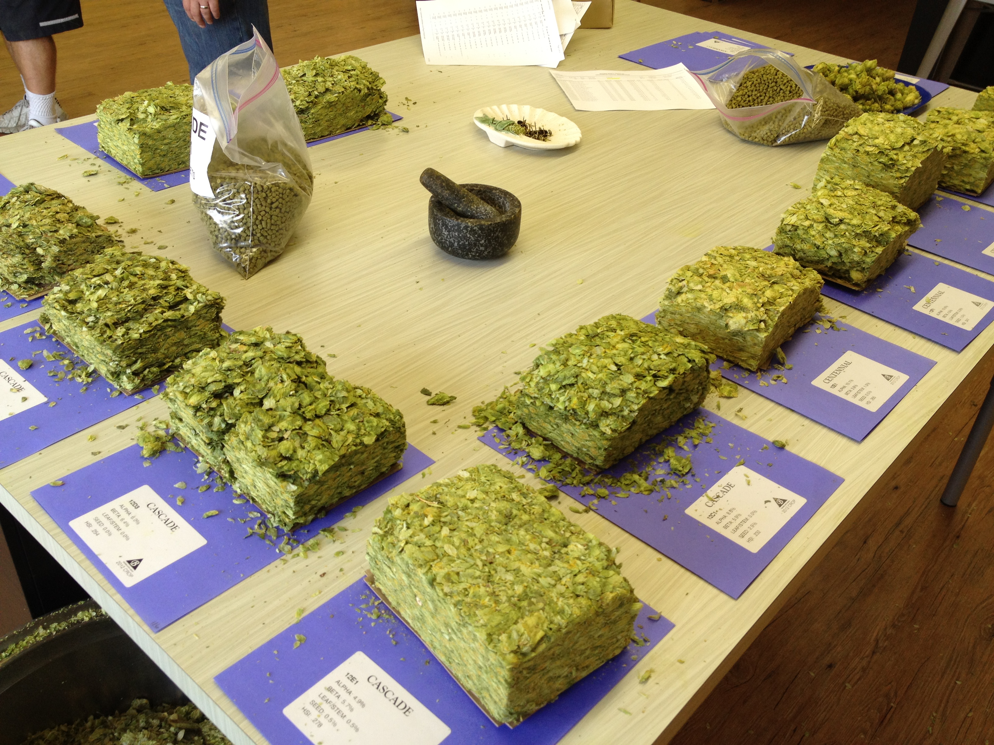 Yakima Hop Selection