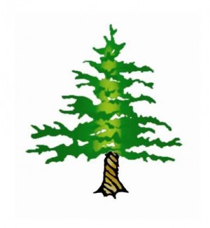 twisted_tree_copy