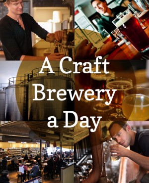 Brewery-a-day-main