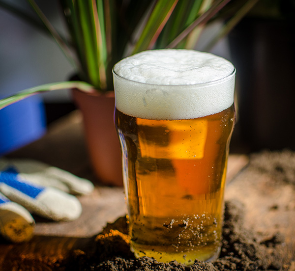 Brewing for the Planet