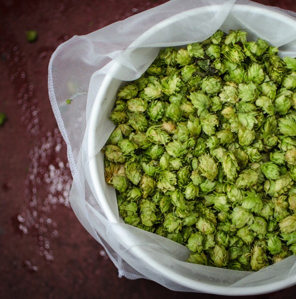 New York hops