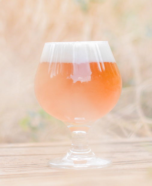 Sour Wheat Beers