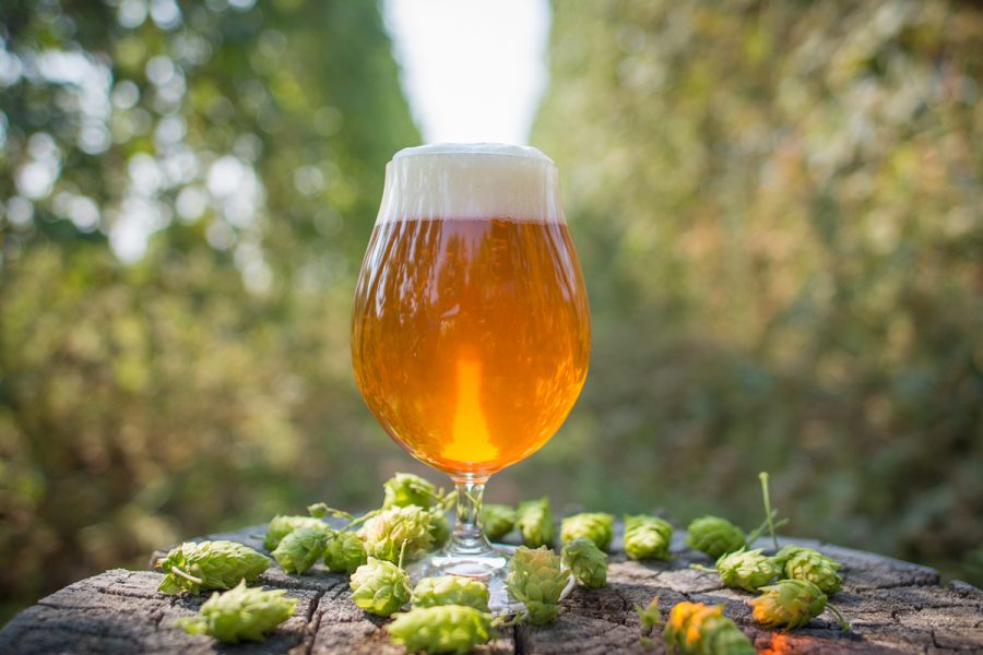 IPA Day