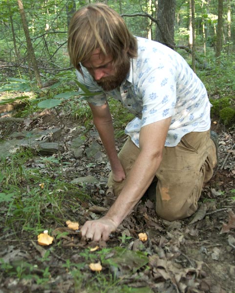 Wild-Pints--Fascination-with-Foraged-Beers