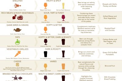 Craft Beer and Food Pairing Guide