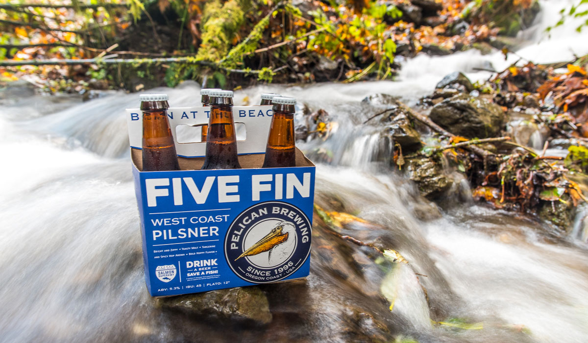 salmon recovery