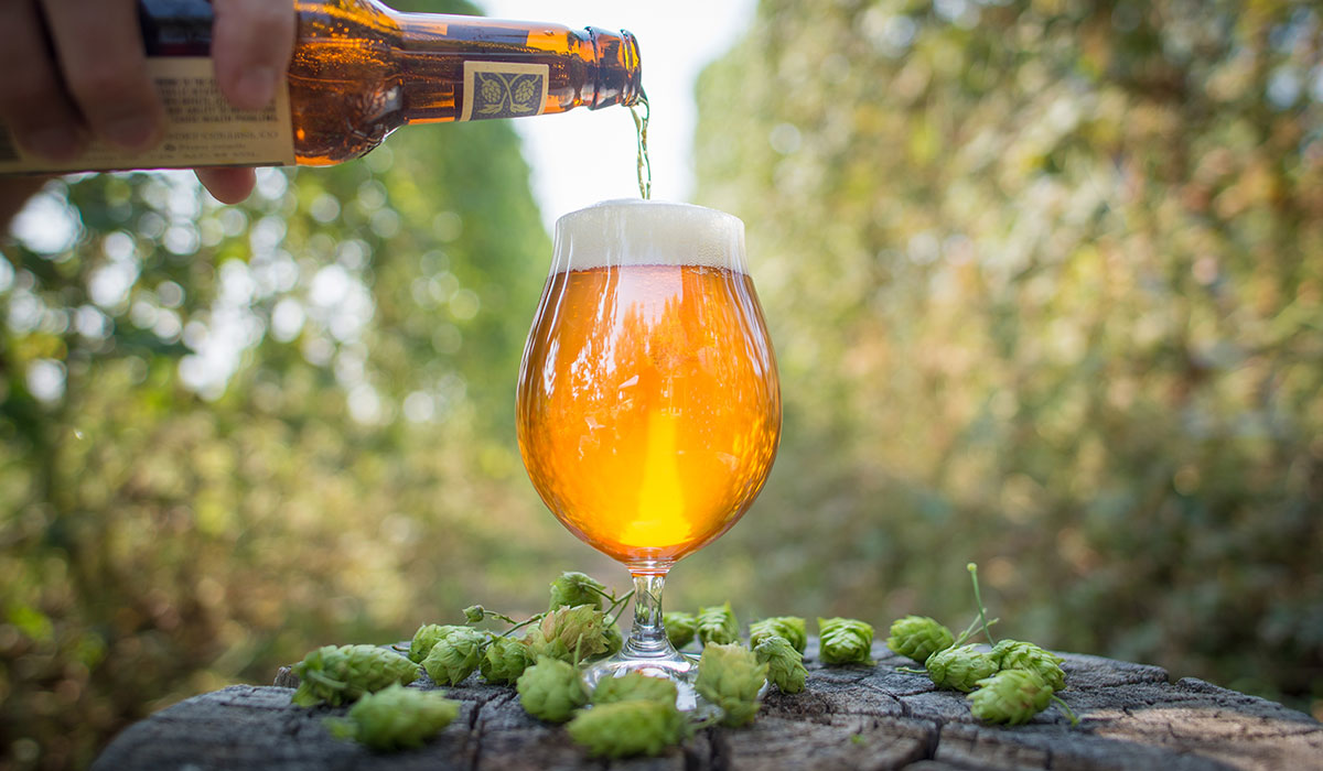 Are Experimental Hops the Future of IPA?