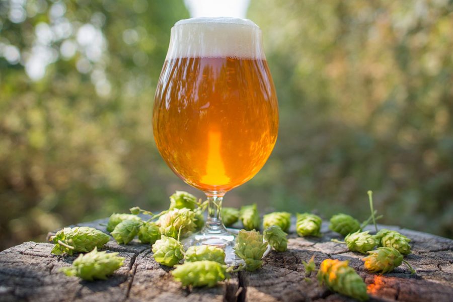 IPA Ingredients