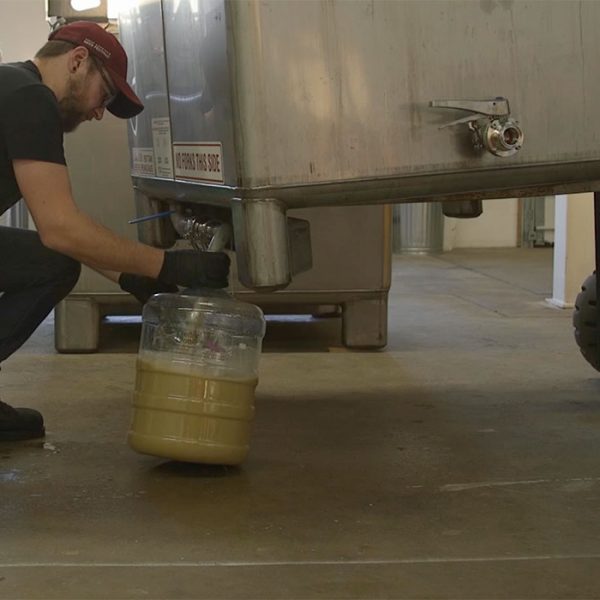 Speciation Artisan Ales