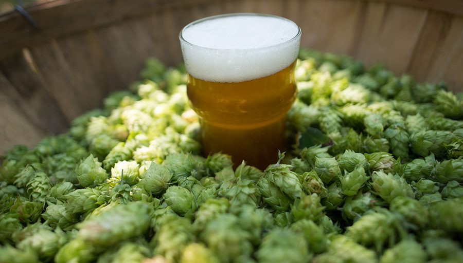 Popular IPAS