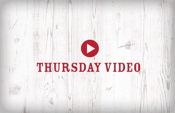 Thursday Video