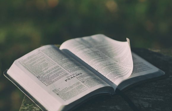 Open Bible