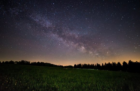 Night sky full of stars