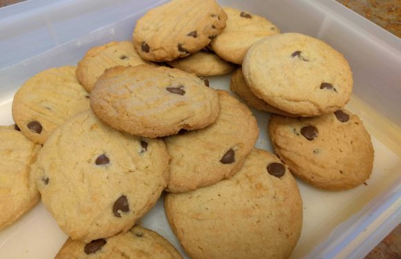 Homemade Chocolate Chip Cookies