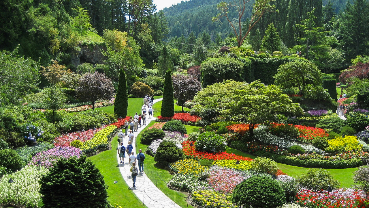 Butchart Gardens, known for Dahlias