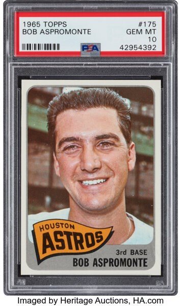 The Elite PSA Set Registry Catalog Auction