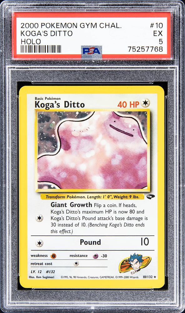 Weekly Auction May 9 - May 18