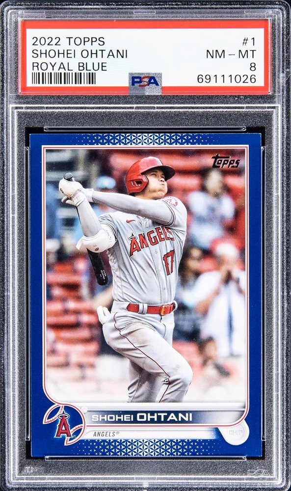 Weekly Auction May 9 - May 18