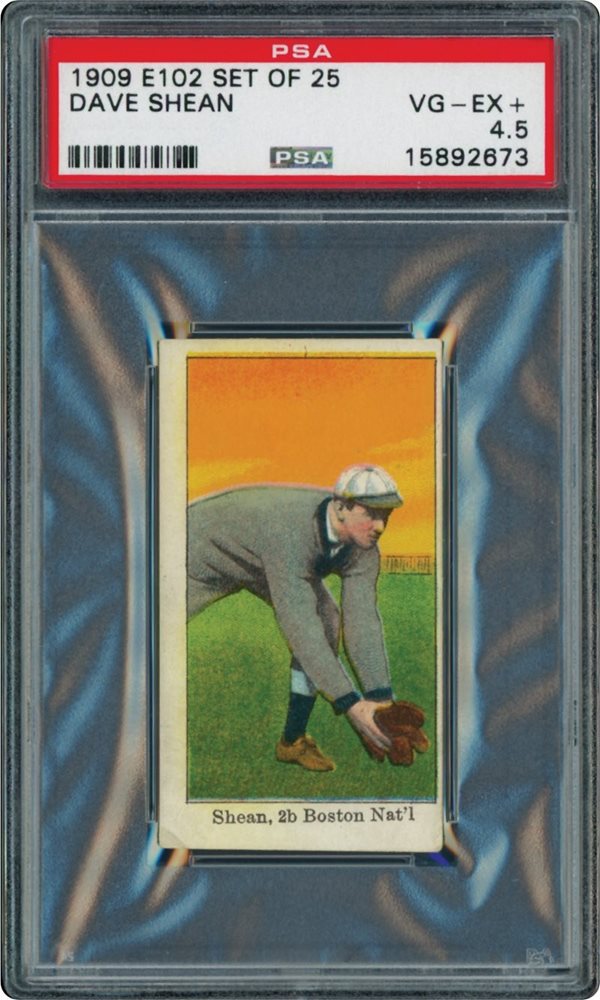 Sizzling Summer Auction 2017