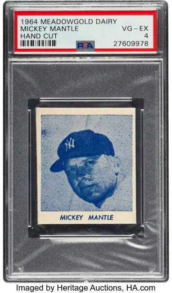 Winter Platinum Night Sports Auction