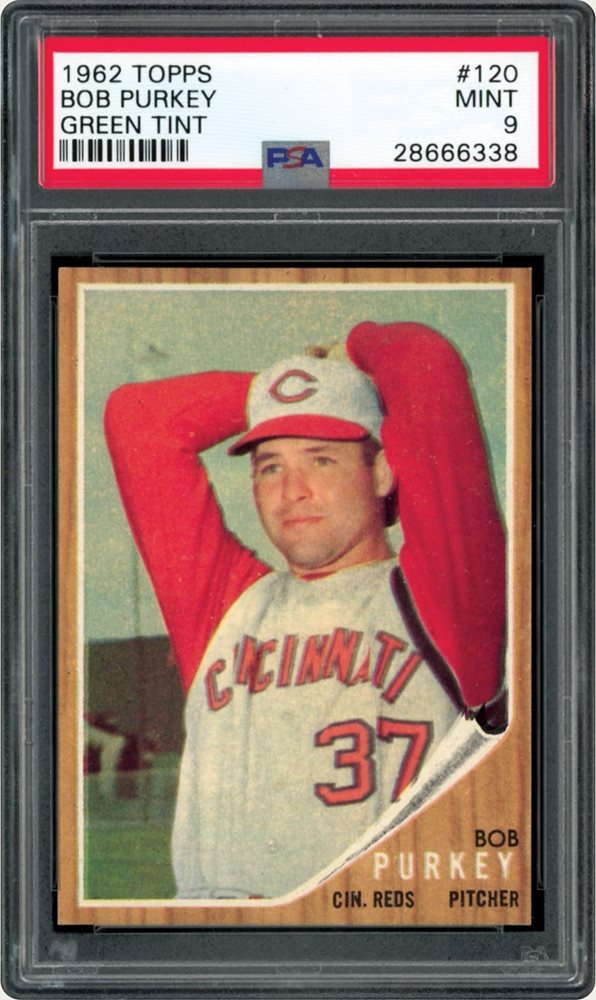 Spring Fever Auction 2018