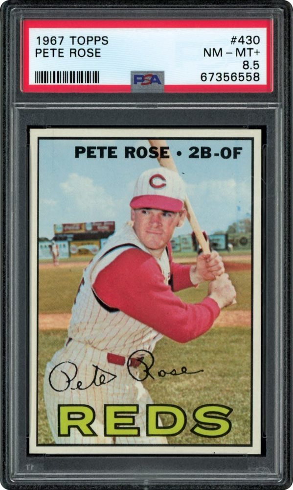 Winter Rarities '23 Auction