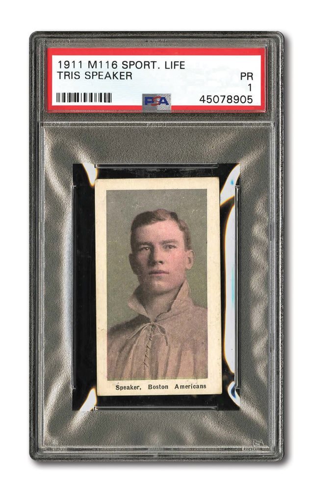 Fall Premier Auction 2019