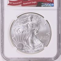 2016 Silver Eagle 2016 Silver Eagle