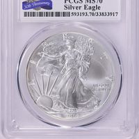 2016 Silver Eagle 
