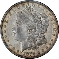 1878 8TF $1 VAM 4, Denticle Chip (Regular Strike) Morgan Dollar