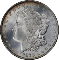 1878 8TF $1 VAM 14.11 Wild Eye TOP 100 (Regular Strike) Morgan