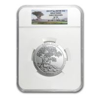 2013-P 25C Great Basin NP 5 oz Silver (Special Strike) 5 oz