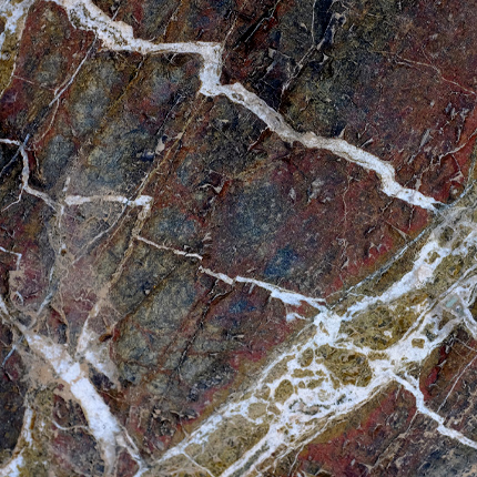 Biology Meets Subduction