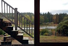Tesi's view from her studio