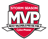 MVP storm season logo
