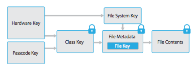 The Hardware Key is stored in the Secure Enclave in A7 and newer devices. (Apple)