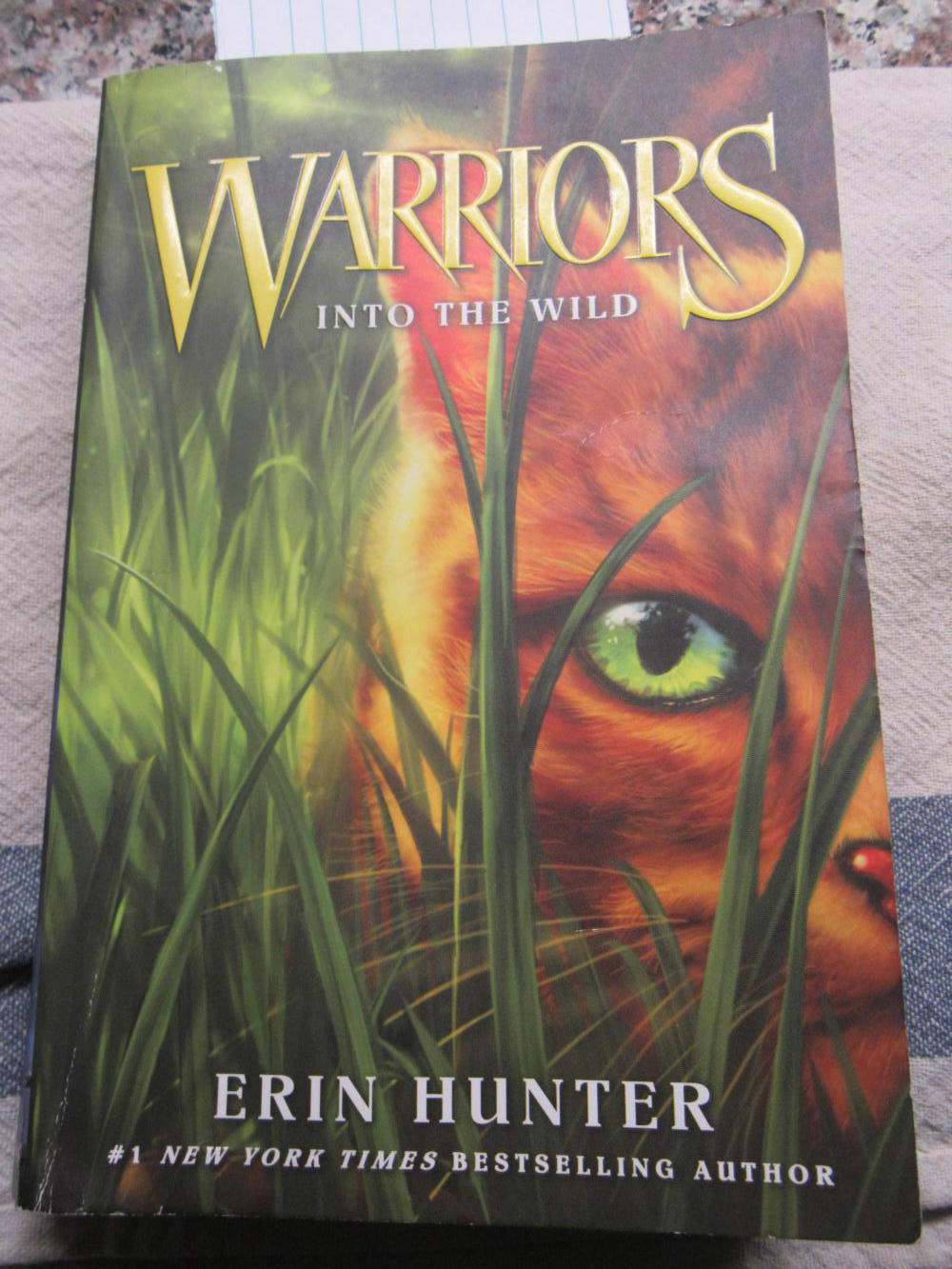 Warriors into the Wild Grampies Go Unhinged CycleBlaze