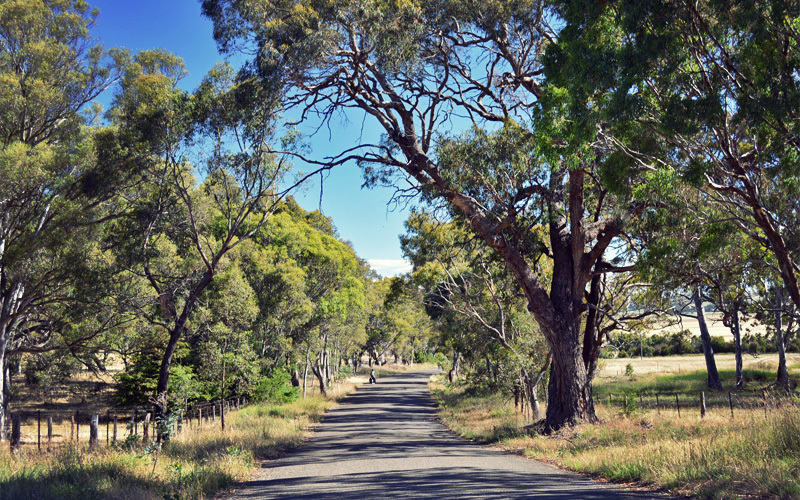 Day 115 Bungonia State Conservation Area to Breadalbane, NSW Four