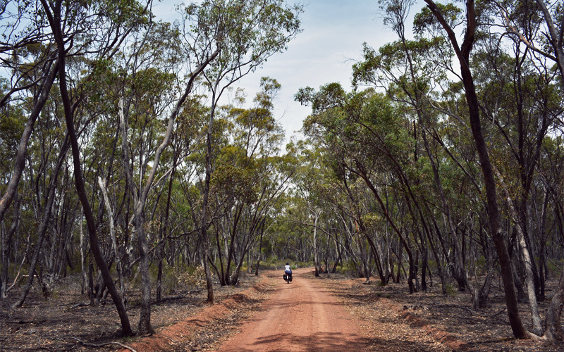Day 128 Near Lockington, VIC to Greater Bendigo National Park Four