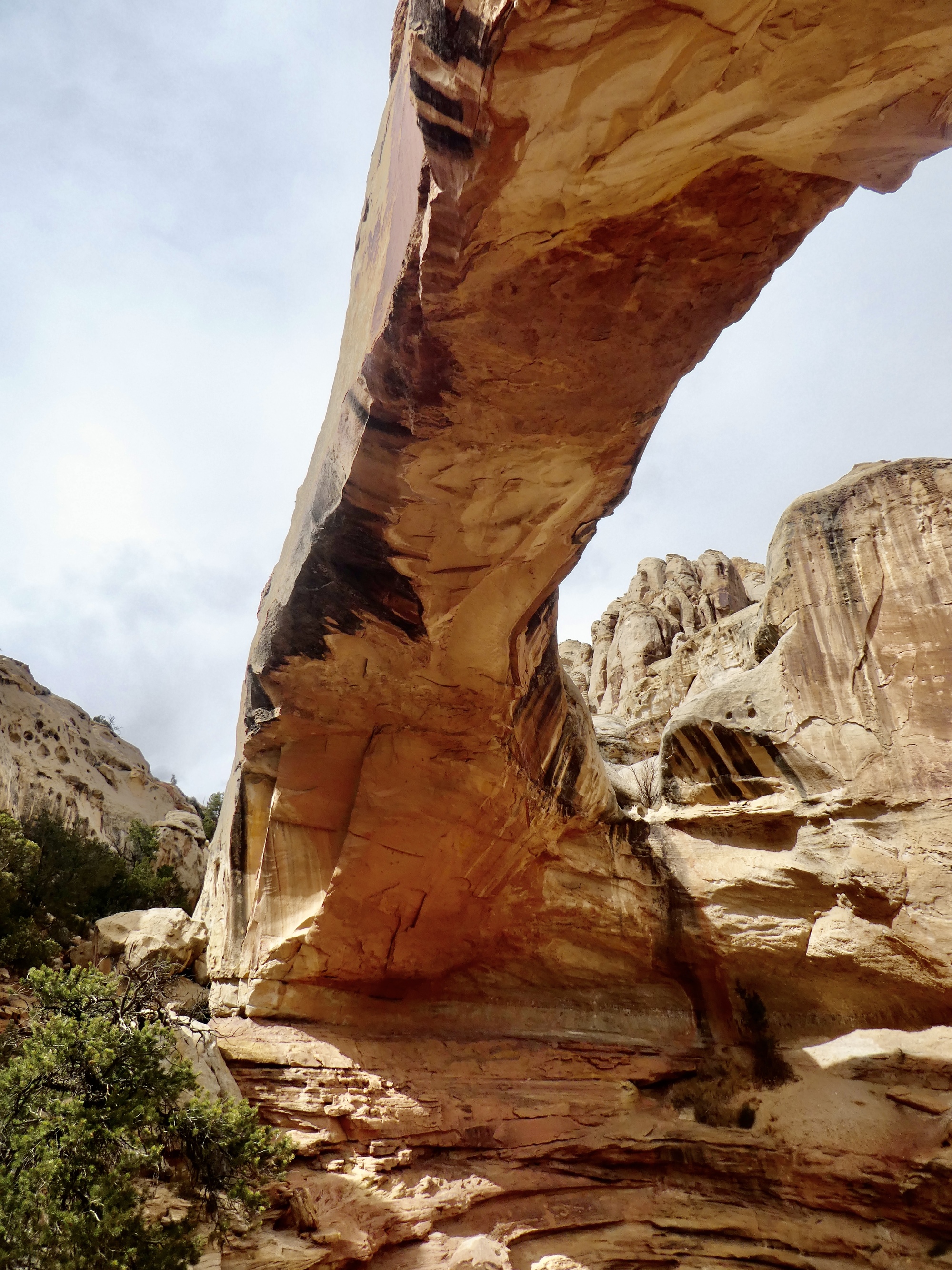 Hickman Natural Bridge Winterlude 2020 CycleBlaze