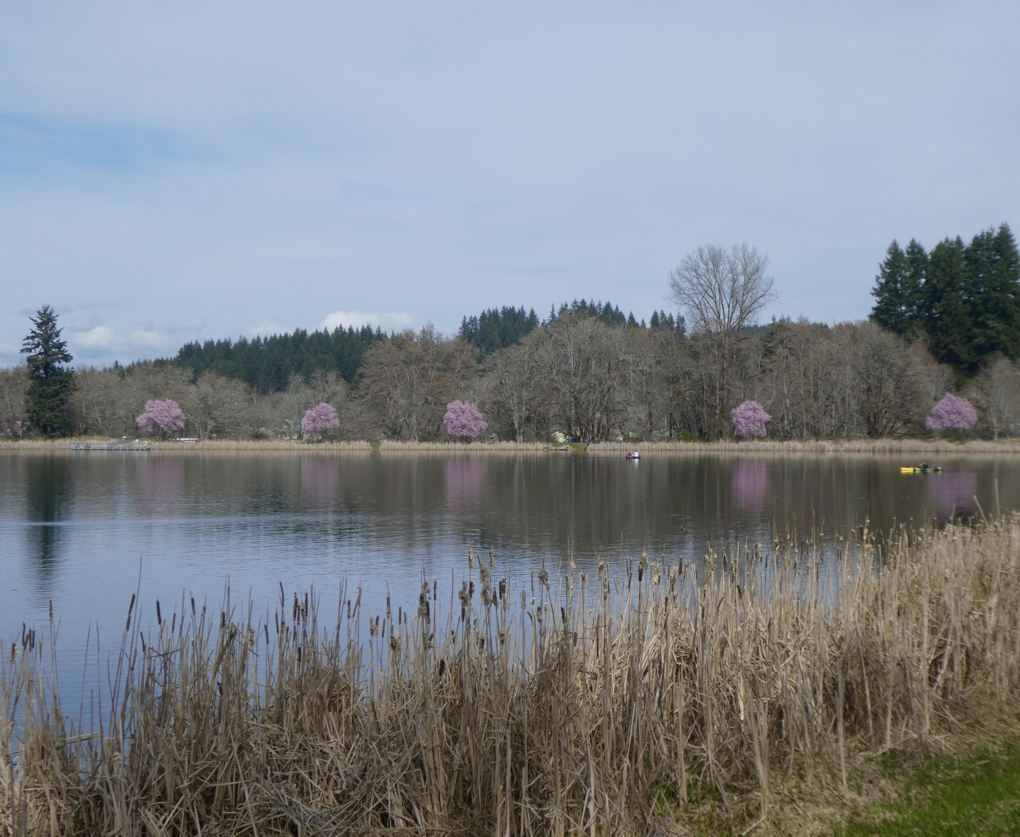 Vernonia Lake Northwest passages riding out the storm CycleBlaze