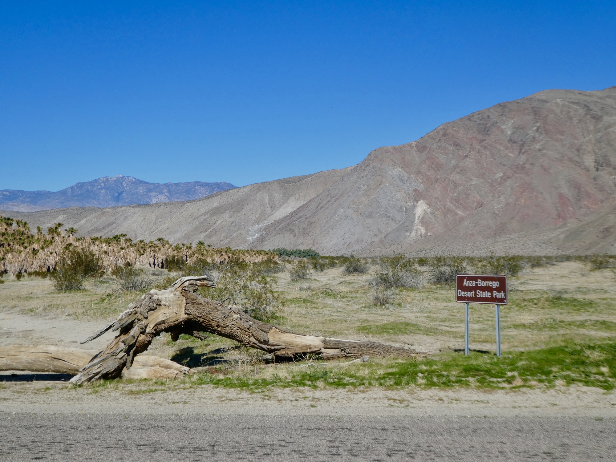 At Borrego Springs Salton Seaway Looking Back With 2020 Vision, Part I CycleBlaze