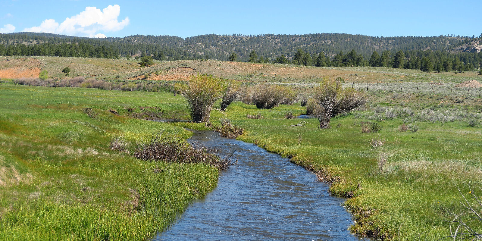 Day 7 Tres Piedras to Ojo Caliente, backcountry adventure Passes