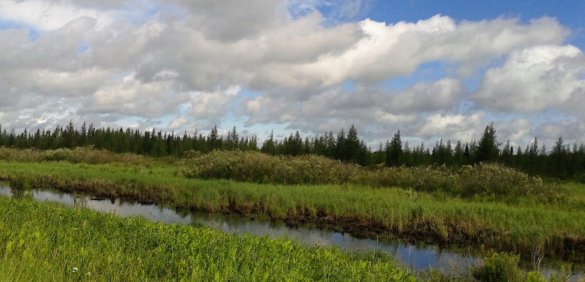 Day 46 Floodwood, MN Two Far 2018 Trailing through the Rust Belt CycleBlaze