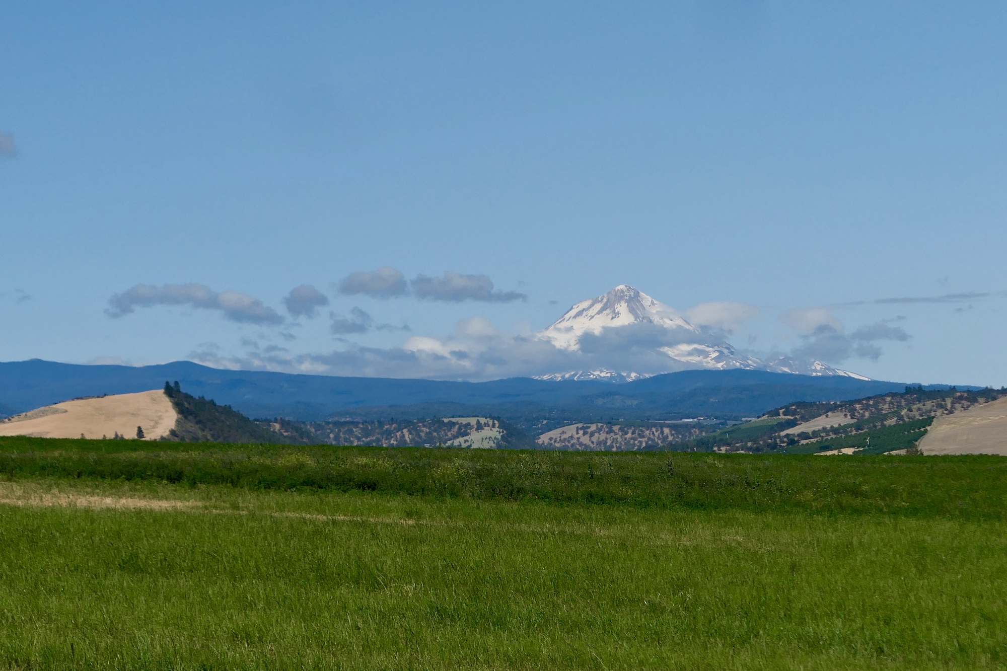 A weekend in Dufur Tygh Ridge Northwest Passages Victoria to