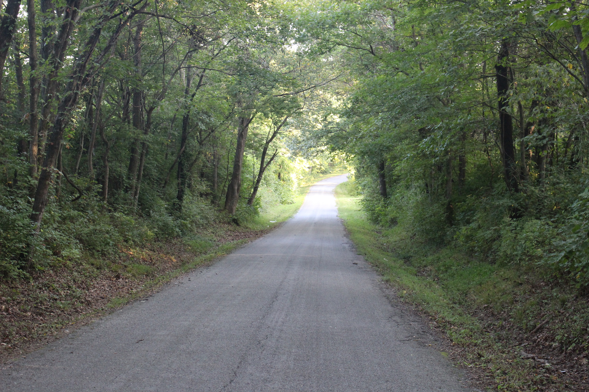 Day Three Lake of Egypt, Illinois to Okawville, Illinois Summer's Almost Gone CycleBlaze