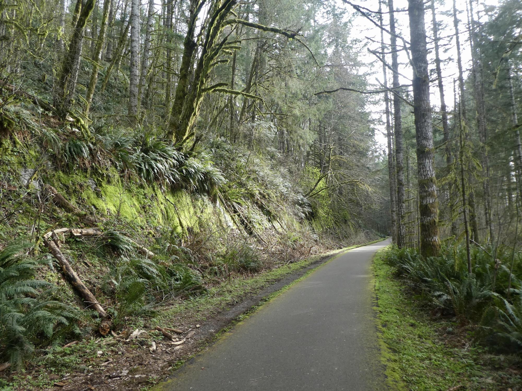Vernonia Lake Northwest passages riding out the storm CycleBlaze